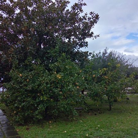 Villa Pellicano -Il Nido Castellammare di Stabia Ngoại thất bức ảnh