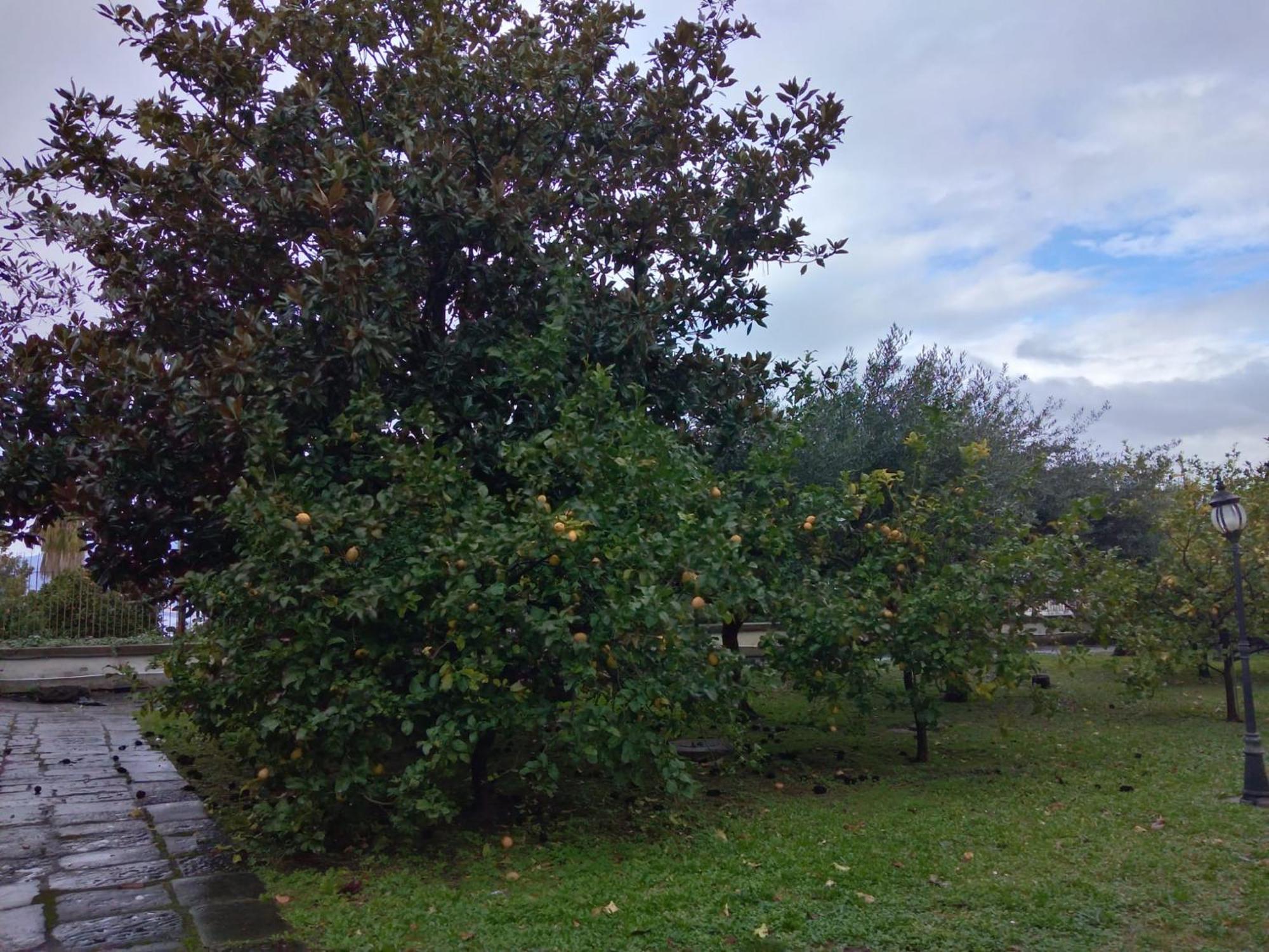 Villa Pellicano -Il Nido Castellammare di Stabia Ngoại thất bức ảnh